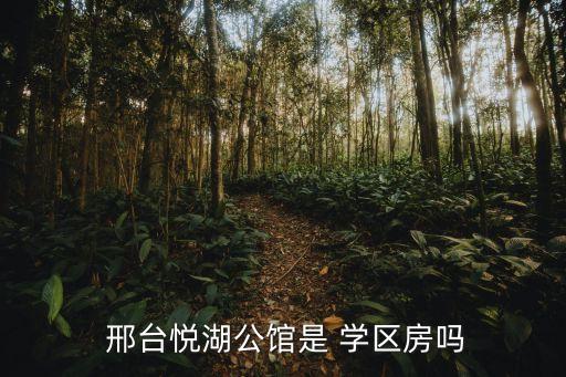  邢台悦湖公馆是 学区房吗
