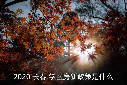 2020 长春 学区房新政策是什么