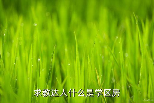 求教达人什么是学区房