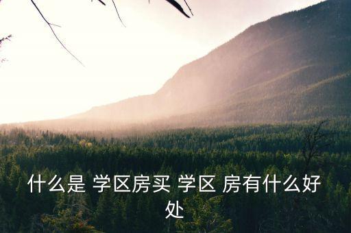 什么是 学区房买 学区 房有什么好处