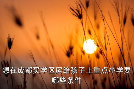 上小学的学区房有什么材料，想在成都买学区房给孩子上重点小学要哪些条件