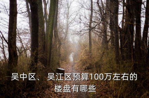 吴中区、 吴江区预算100万左右的 楼盘有哪些