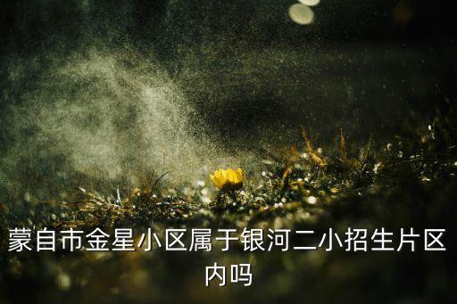 蒙自市金星小区属于银河二小招生片区内吗