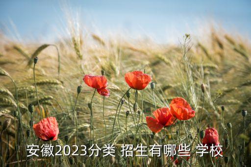 安徽2023分类 招生有哪些 学校