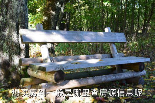 想买房到一般是哪里查房源信息呢