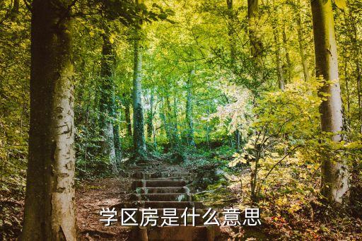 学区房是什么意思