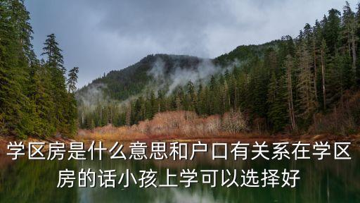 学区房是什么意思和户口有关系在学区房的话小孩上学可以选择好