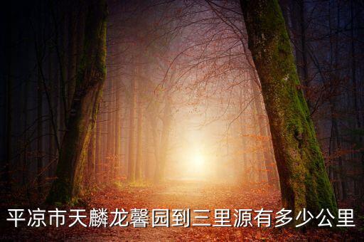平凉市天麟龙馨园到三里源有多少公里