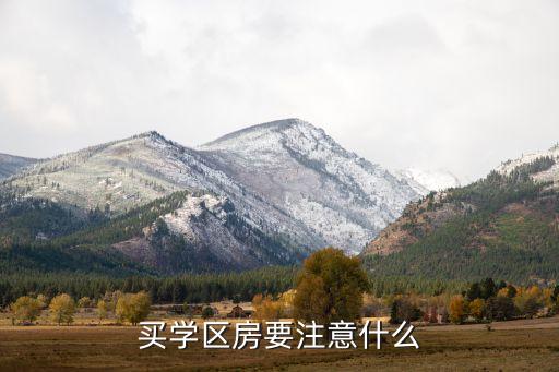 买学区房要注意什么