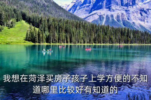 菏泽小学哪个学区房好住，我想在菏泽买房子孩子上学方便的不知道哪里比较好有知道的