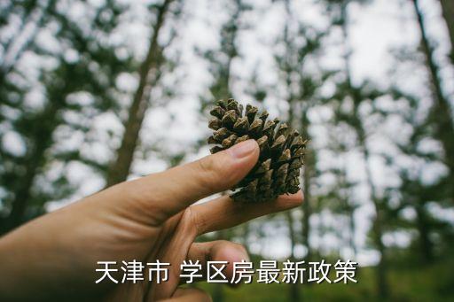天津市 学区房最新政策