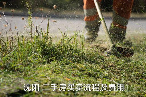  沈阳 二手房买卖流程及费用