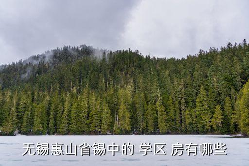 无锡惠山省锡中的 学区 房有哪些