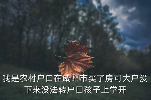 我是农村户口在咸阳市买了房可大户没下来没法转户口孩子上学开