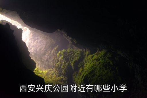 西安兴庆公园附近有哪些小学