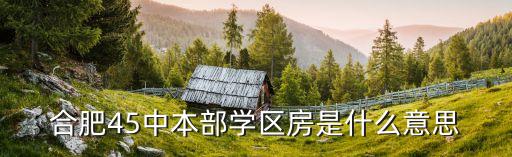 合肥45中本部学区房是什么意思