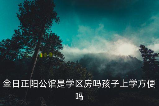 金日正阳公馆是学区房吗孩子上学方便吗