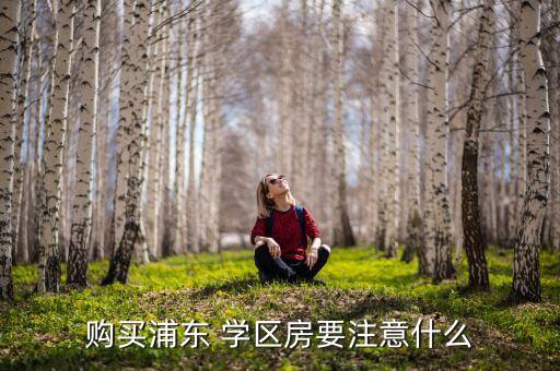 购买浦东 学区房要注意什么