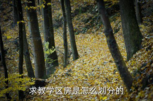 求教学区房是怎么划分的