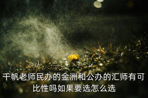 千帆老师民办的金洲和公办的汇师有可比性吗如果要选怎么选