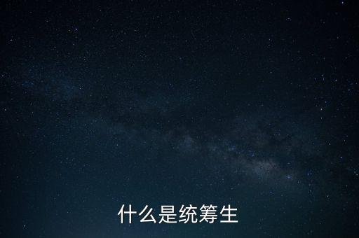 什么是统筹生