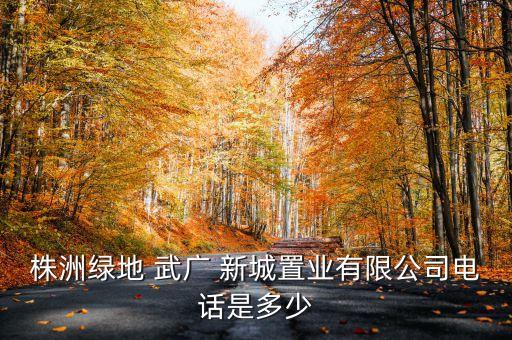 武广新城学区房在哪里,tod国际新城的学区在哪里
