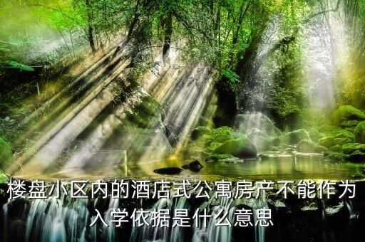楼盘小区内的酒店式公寓房产不能作为入学依据是什么意思