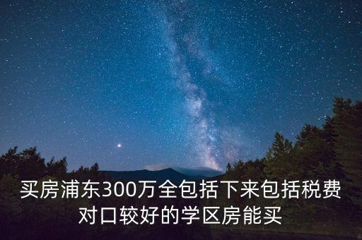 买房浦东300万全包括下来包括税费对口较好的学区房能买