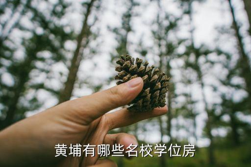 黄埔有哪些名校学位房
