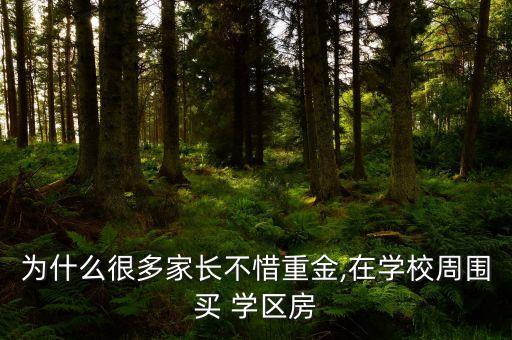 为什么很多家长不惜重金,在学校周围买 学区房