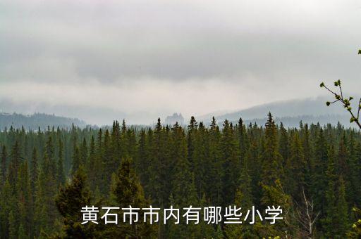 黄石有哪些好的学区房,黄石中山小学学区房有哪些