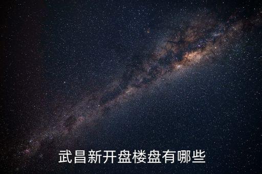  武昌新开盘楼盘有哪些