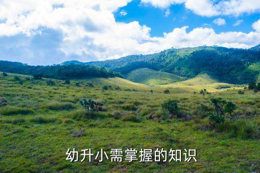 深圳幼升小资料