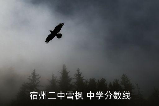  宿州二中雪枫 中学分数线