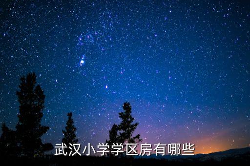 武汉小学学区房有哪些