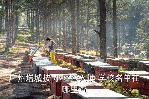 小区对应学校查询,丰台区小区对应学校查询