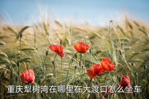 重庆犁树湾在哪里在大渡口怎么坐车