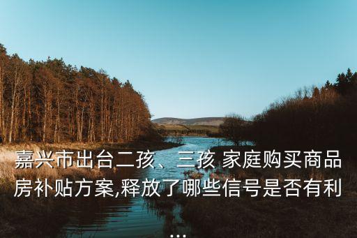 二胎家庭该怎么买学区房