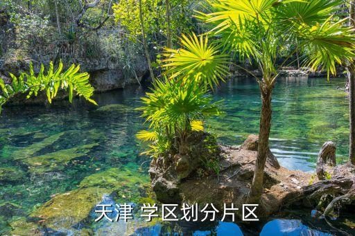 和平区 学区,沈阳和平区学区