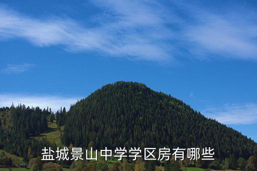 东景山初中学区房什么范围，盐城新西门88号景山中学学区房有那些