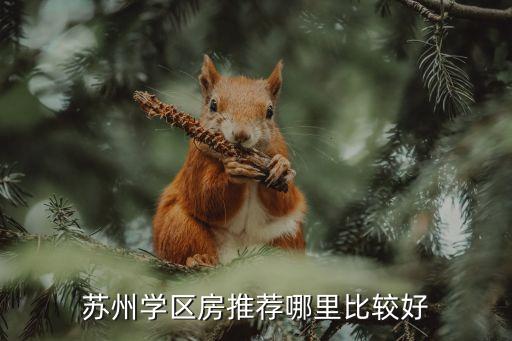 苏州学区房推荐哪里比较好