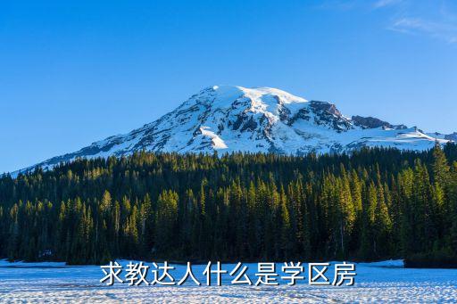 求教达人什么是学区房