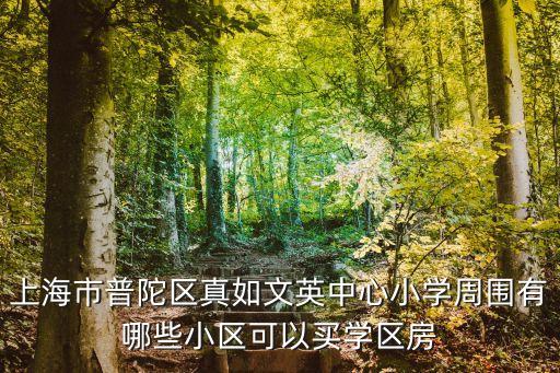 上海市普陀区真如文英中心小学周围有哪些小区可以买学区房