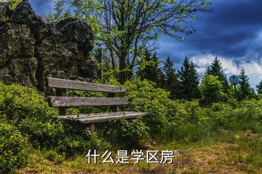 什么是学区房