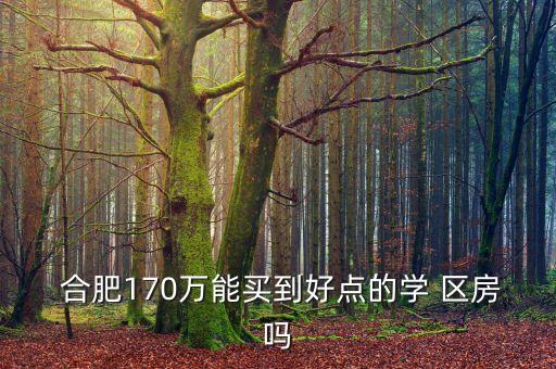 合肥170万能买到好点的学 区房吗