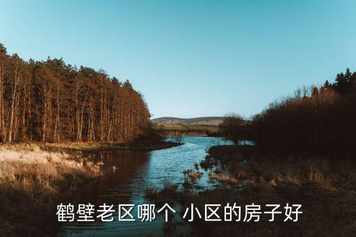  鹤壁老区哪个 小区的房子好