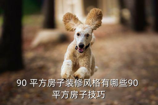 90平方二层别墅设计图,农村一层小别墅 90平方