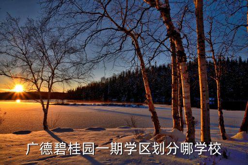 广德碧桂园一期学区划分哪学校