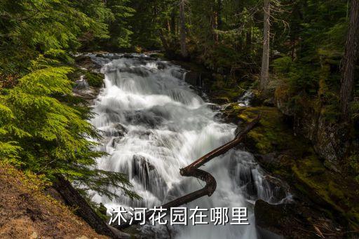 沭河花园在哪里