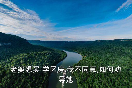 老婆想买 学区房,我不同意,如何劝导她